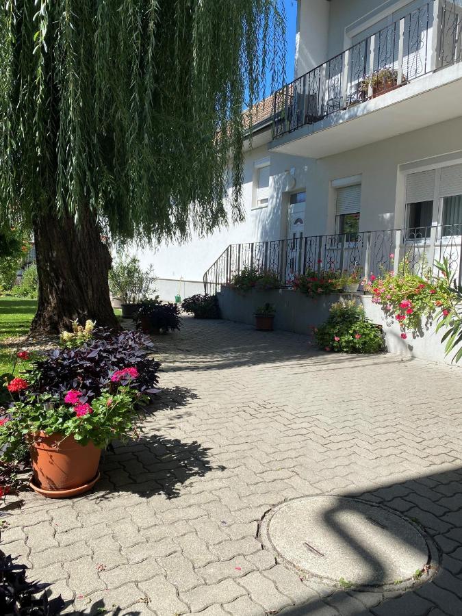 Gaestehaus & Weingut Klein 일미츠 외부 사진